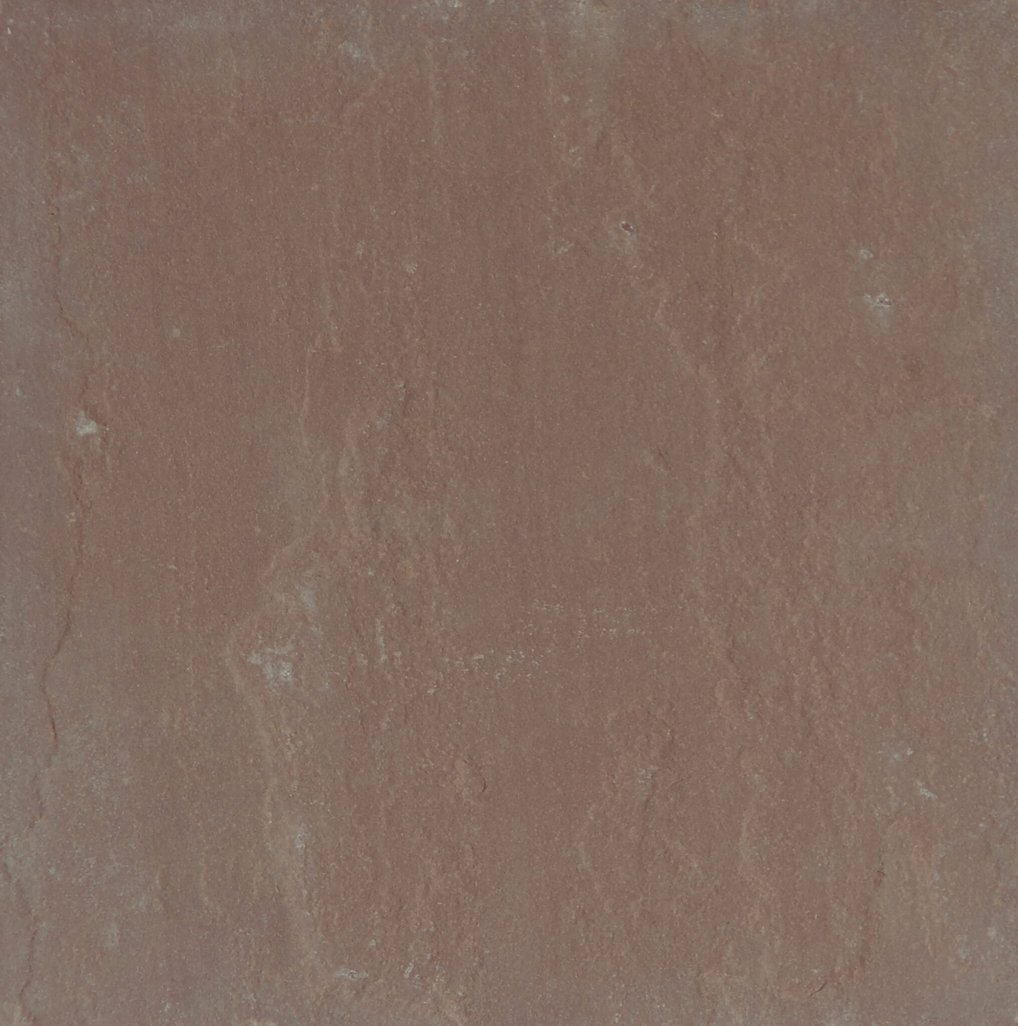 Arenarie - Pulchria